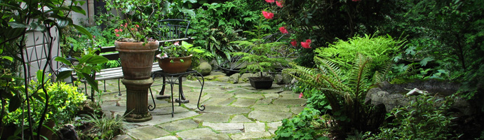 In Your Yard