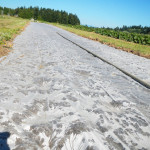solarization for a pollinator meadow