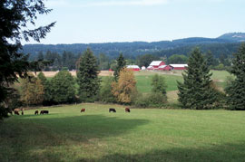 on your farm