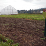 new pollinator habitat area