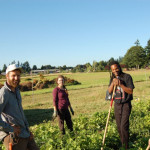 weeding thistle at Headwaters