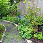 naturescaped yard with path