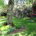 lawn reduction through naturescaping