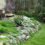 naturescaped slope