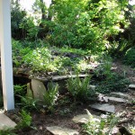 Yard Tour 2013 photo