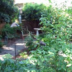 Yard Tour 2013 photo