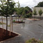 Vestal project after construction