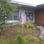 the new butterfly garden
