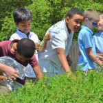 children having fun at an outdoor farm