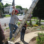 carrying soil