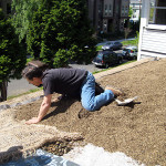 spreading the soil
