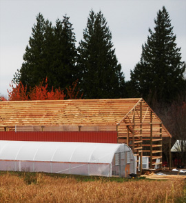 Greenhouse and frame for new bar at Headwaters Farm