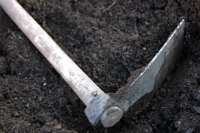 pick on bare soil