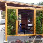 living wall bike shed