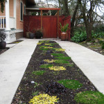 split driveway