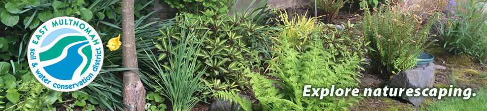 'Naturescaping' section