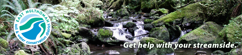 'Streamcare' section