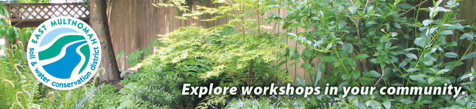 'Workshops and Events' section