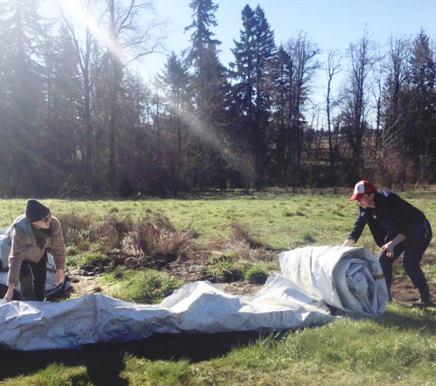 Amica Farm - rolling up tarp