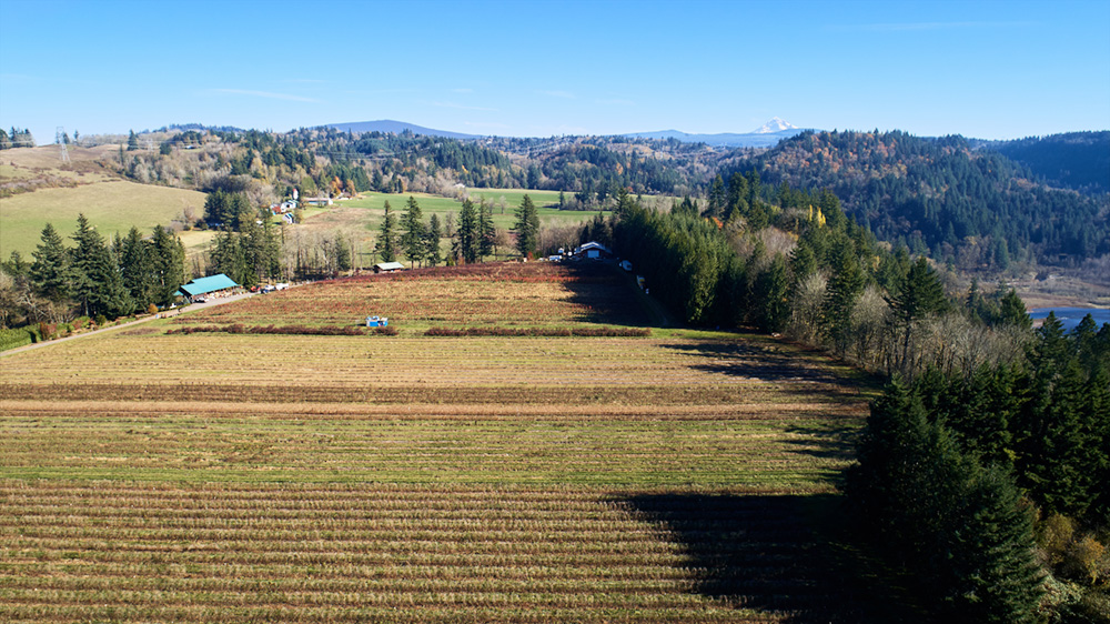 The fields at Gordon Creek