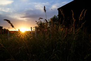 A view of the sunset from the Foltz property