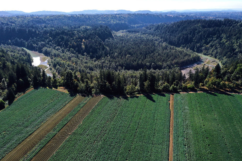 aerial view of the Big Creek Farm, with farm in the foreground and the Sandy River and surrounding forest and hills visible beyond the farmland and toward the horizon