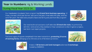 preview of a sample page in an annual report with text, details and a few watercolor illustrations, title is "Year in Numbers: Ag & Working Lands during Fiscal Year 23-24"